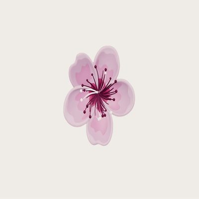Decorazione fiore tema Natura